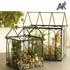 Plant Glass Terrarium