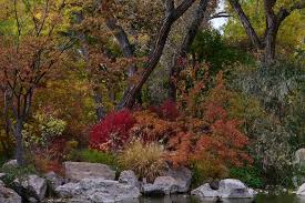 10 Best Botanical Gardens Across The