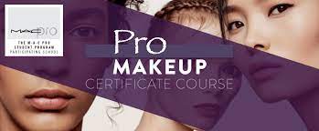 pro makeup certificate voila insute