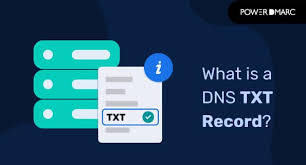 what is a dns txt record txt records