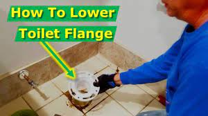 toilet too high how to fix