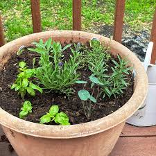 Growing Herbs In Containers Themes For