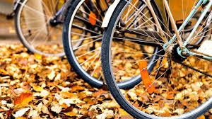 Jesień na rowerze. Pomysł na weekend