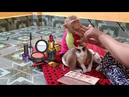pipi monkey her mommy makeup for her