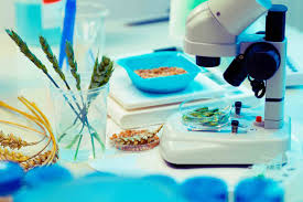 e.nutrition - Biotecnologie