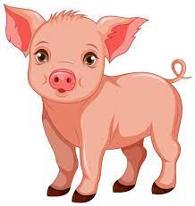 Pig Images Free On Freepik