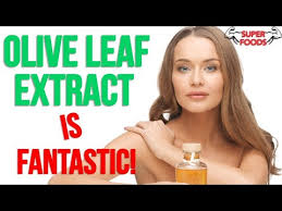 how olive leaf extract can help you