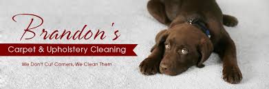 carpet cleaning baltimore md