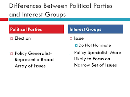 Political interest groups essay