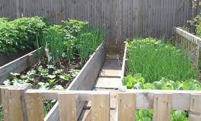 How To Space Vegetables In A Raised Bed