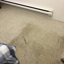 carpet cleaning near detroit mi