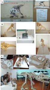 There are websites the place arthur can examine to uncover dinosaur bones dotted throughout the red dead redemption 2 map. Three Models Of Dinosaur Allosaurus Used In The Evaluation A Image Download Scientific Diagram