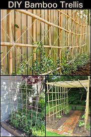 Maybe you would like to learn more about one of these? Diy Bamboo Trellis The Owner Builder Network Diy Garden Projects Succulent Garden Diy Indoor Diy Garden