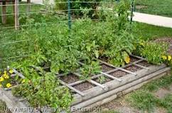 What is the safest material for raised garden beds?