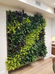 Natural Green Walls For Wall Decoration