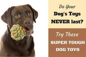 durable dog toys for heavy chewers