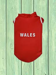 wales rugby world cup jersey pimp
