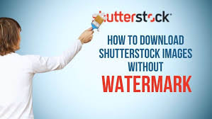 how to shutterstock images