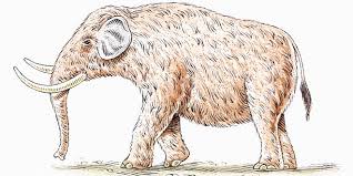 Mammoth Vs Mastodon Difference And Comparison Diffen