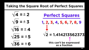 Square Roots Cube Roots And Other Roots