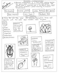 No other living organism, as kingdom fungi far as we can tell, cares a bit what kingdom it is in. 6 Kingdoms Coloring Worksheets Teaching Resources Tpt