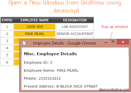 open a new window from gridview using