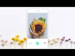 It will also help you gain knowledge if you love gardening. Perfect Android App To Identify Flowers And View Flower Identification Plants Identify Plant