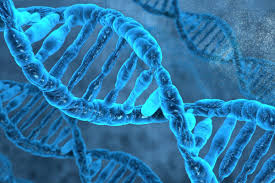 artificial dna letters