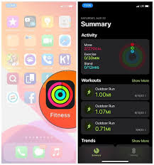 One of the best fitness applications for iphone that lets you keep track of your measurements and comes with a large workout database. Why Apple Watch Activity App Missing On My Iphone Get Back Workout