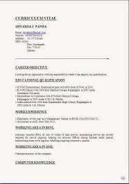 Cv Presentation Sample Template Example Ofexcellent
