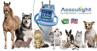 veterinary laser surgery for pets