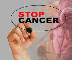 Image result for anti cancer