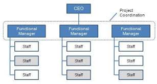 Organizational Structures Tutorialspoint