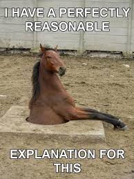 Funny Birthday Horse Quotes - Manny Quote