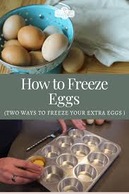 Ready to sell your eggs? How To Freeze Eggs The Prairie Homestead