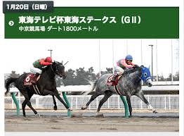 37:24 夢色グラス 競馬チャンネル 54 816 просмотров. æ±æµ·ã‚¹ãƒ†ãƒ¼ã‚¯ã‚¹2019æœ€çµ‚äºˆæƒ³ éŽåŽ»10å¹´ã®å‚¾å'ã¨å¤–åŽ©ãƒ‡ãƒ¼ã‚¿ å¥½æž å…¥ã£ãŸç©´è»¸é¦¬ã‹ã‚‰ã„ãã¾ã™ ãƒ–ãƒ¼ãƒ«ã®ç©´è»¸ç«¶é¦¬äºˆæƒ³ èª¿æ•™ ãƒ'ãƒ‰ãƒƒã‚¯é‡è¦–ã®ãƒ–ãƒ­ã‚°