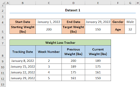 weight loss spreadsheet in stones and
