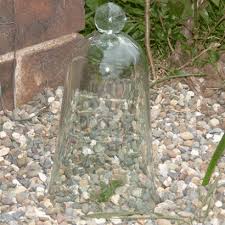Antique Glass Cloches To Protect Your