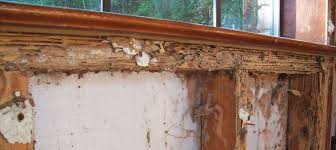 Termites Massachusetts Home Inspections