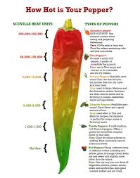 Scoville Scale Chart Related Keywords Suggestions