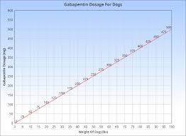 Discover The Dosage Of Gabapentin For Dogs Side Effects And