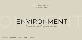 environment font weont desktop