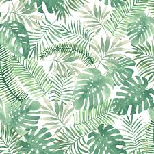 Or, perhaps you're looking for a more abstract take on the leafy outdoors to pep up a particular room? Leaf Wallpapers Top Free Leaf Backgrounds Wallpaperaccess