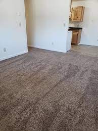 elite carpet cleaning grand forks nd
