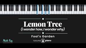 lemon tree fool s garden karaoke