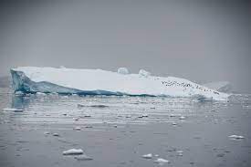 南極の氷解速度、過去40年で6倍に加速＝研究 | ロイター