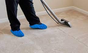 carpet cleaning eco carpet cleaning