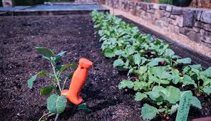 7 Gardening Tools That Reduce Joint And