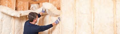 Home Wall Insulation Sustaility