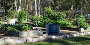 raised garden beds which type should